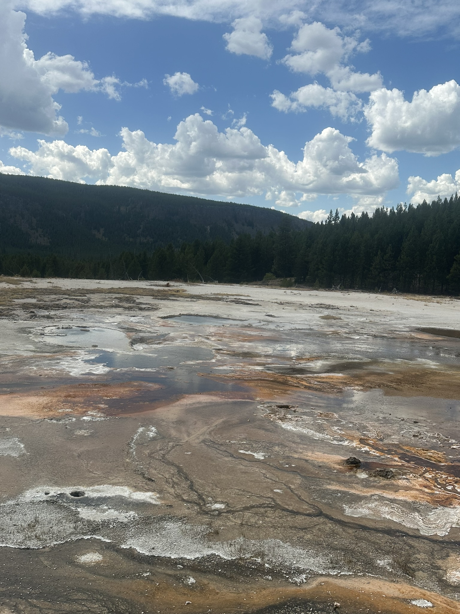 Yellowstone And Grand Teton National Parks - Image 35